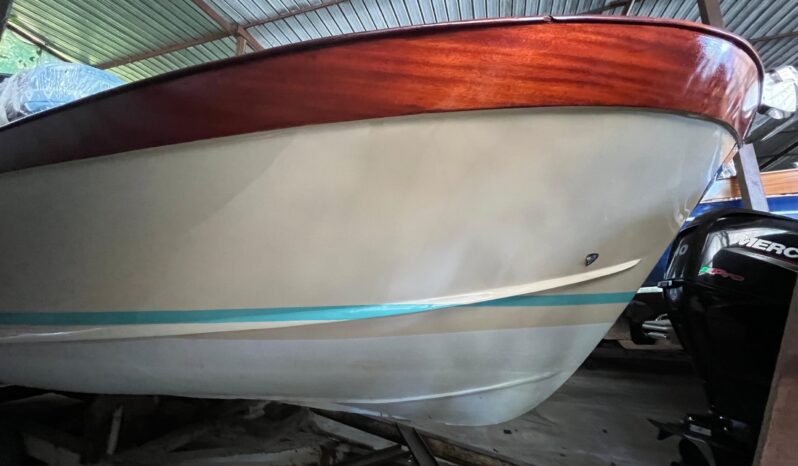 
								Gozzo 750 motore 110 cv completo									