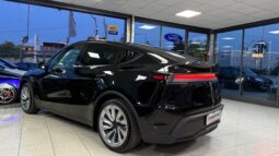 
										Tesla model Y completo									