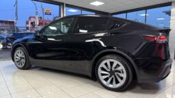 
										Tesla model Y completo									