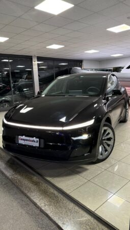
										Tesla model Y completo									