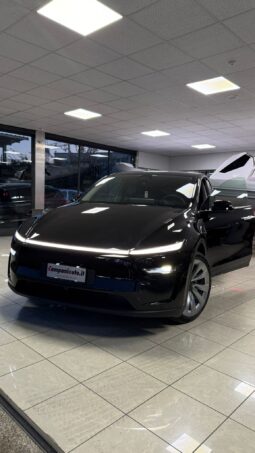 
										Tesla model Y completo									