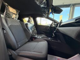 
NUOVA RENAULT CLIO completo									